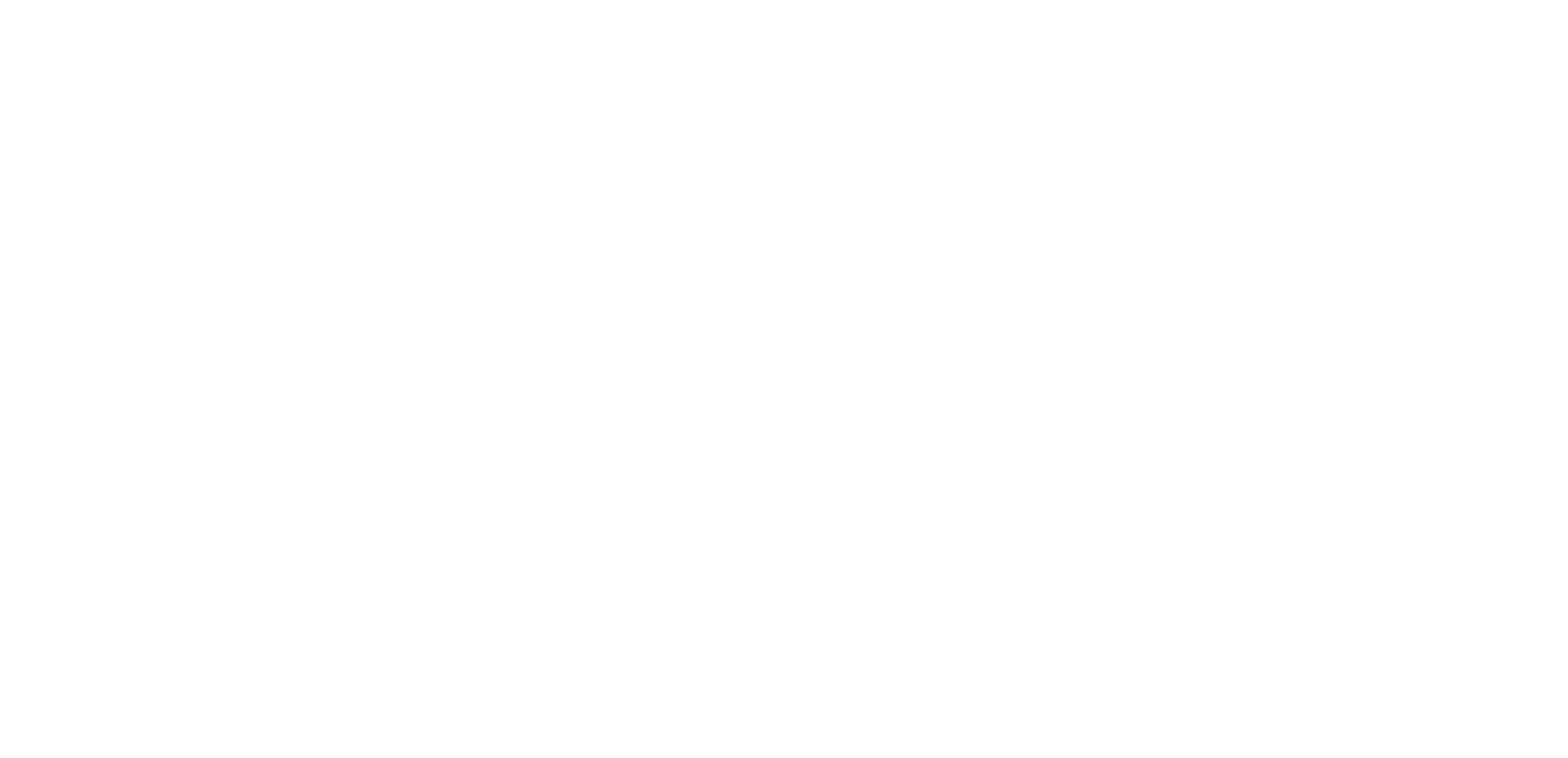 Stim Logo